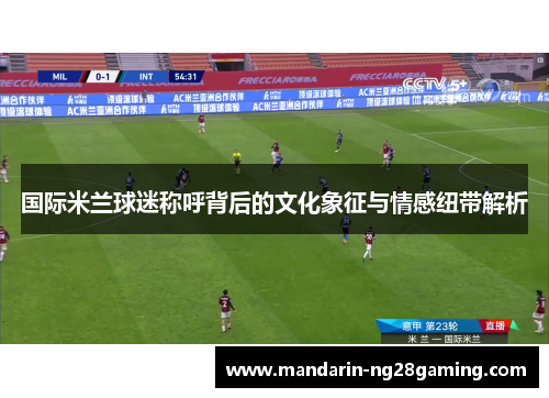 国际米兰球迷称呼背后的文化象征与情感纽带解析