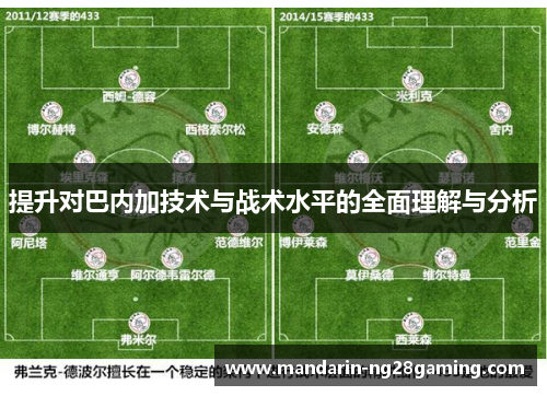 提升对巴内加技术与战术水平的全面理解与分析 提升对巴内加技术与战术水平的全面理解与分析