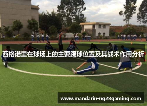 西格诺里在球场上的主要踢球位置及其战术作用分析