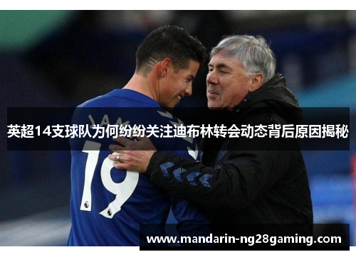 英超14支球队为何纷纷关注迪布林转会动态背后原因揭秘