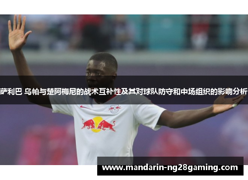 萨利巴 乌帕与楚阿梅尼的战术互补性及其对球队防守和中场组织的影响分析