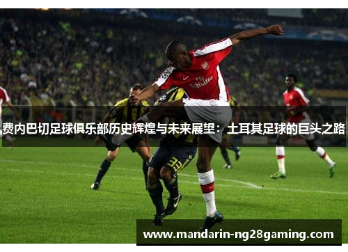 费内巴切足球俱乐部历史辉煌与未来展望：土耳其足球的巨头之路