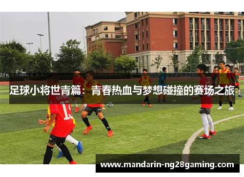 足球小将世青篇：青春热血与梦想碰撞的赛场之旅
