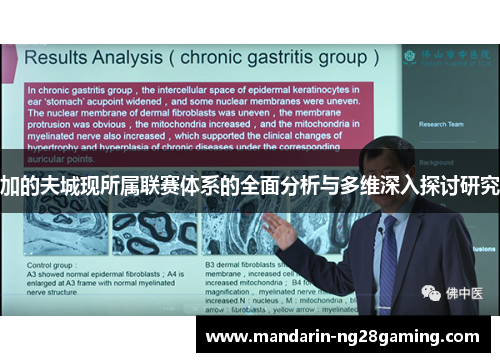 加的夫城现所属联赛体系的全面分析与多维深入探讨研究 加的夫城现所属联赛体系的全面分析与多维深入探讨研究