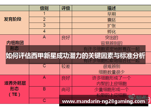如何评估西甲新星成功潜力的关键因素与标准分析